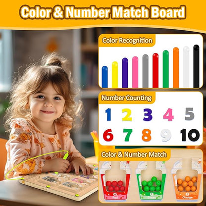 Tavola magnetica Montessori per l'abbinamento dei colori