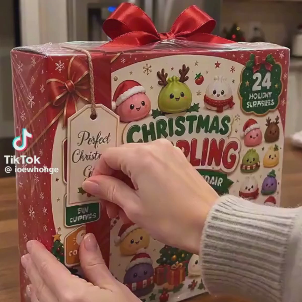 Calendario dell’Avvento Squishy di Natale – 24 sorprese Squishy (3+ anni)